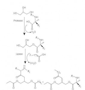 figura 11