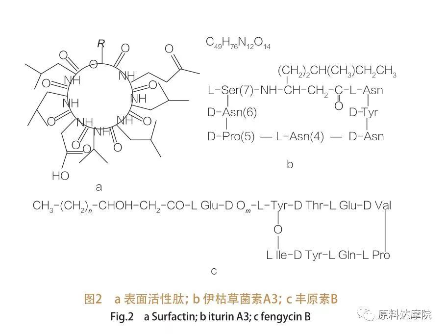 ọpọtọ2