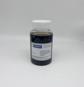 SILIT-ENZ-100L Acid polishing enzyme