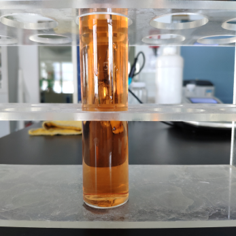 Accelerated Bleaching Enzyme SILIT- CT-30L